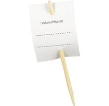 Etichetă pentru plante din lemn cu câmp pentru data și numele plantei