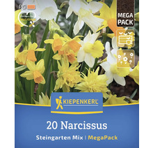 Pachet narcise amestec grădină stâncoasă MegaPack