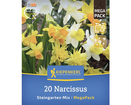 Pachet narcise amestec grădină stâncoasă MegaPack