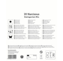 Ambalaj pentru 20 Narcissus Steingarten Mix cu informații despre locație, utilizare, caracteristici și origine