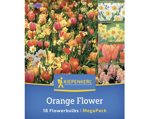Kiepenkerl Orange Flower bulbi de flori pachet de 18 bucăți