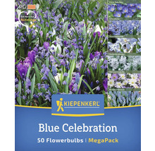 Kiepenkerl Blue Celebration Bulbi de flori MegaPack, conține 50 de bulbi de flori, cu simbolul inimă pentru insecte utile