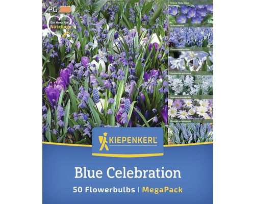 Kiepenkerl Blue Celebration Bulbi de flori MegaPack, conține 50 de bulbi de flori, cu simbolul inimă pentru insecte utile