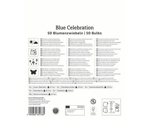 Pachet de bulbi Blue Celebration cu informații despre locație, utilizare, caracteristici și origine
