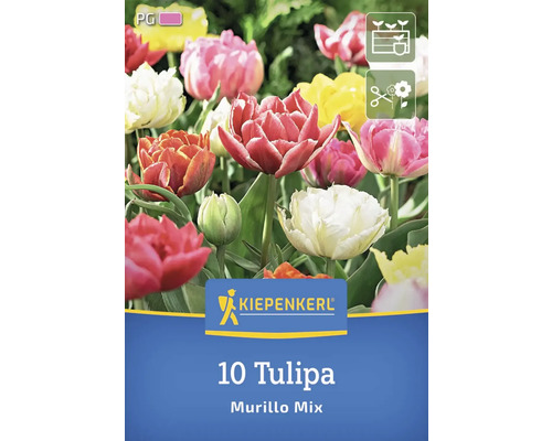Kiepenkerl Logo 10 lalele Murillo Mix