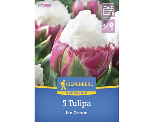 Pachet cu cinci lalele tip Ice Cream