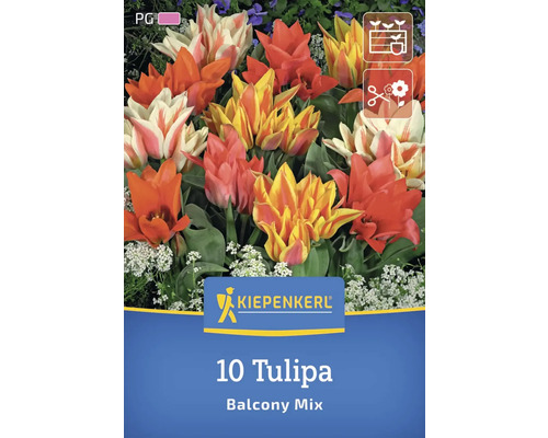 Sigla Kiepenkerl, 10 lalele mix balcon