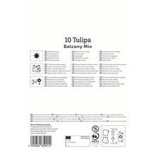Ambalaj pentru 10 bulbi de lalele Balcony Mix cu informații despre locație, plantare și îngrijire