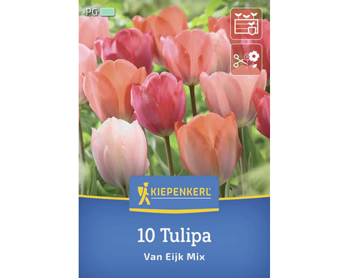 Kiepenkerl 10 lalele Van Eijk Mix ambalaj