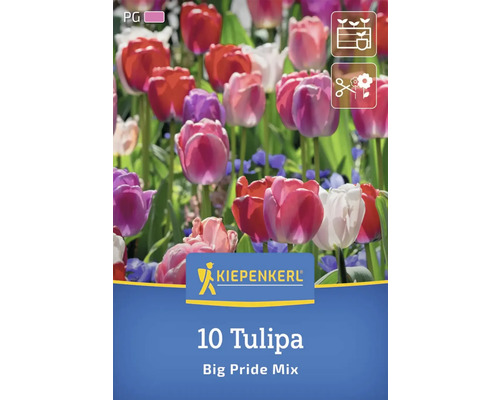 Pachet cu 10 lalele Big Pride Mix