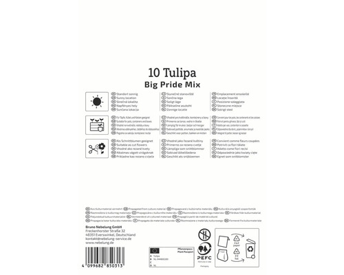 Ambalaj cu 10 lalele Big Pride Mix cu informații despre locație, utilizare și origine