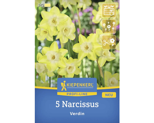 Pachet cu 5 narcise din soiul Verdin