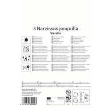 Ambalaj Narcissus jonquilla Verdin cu simboluri și sigilii