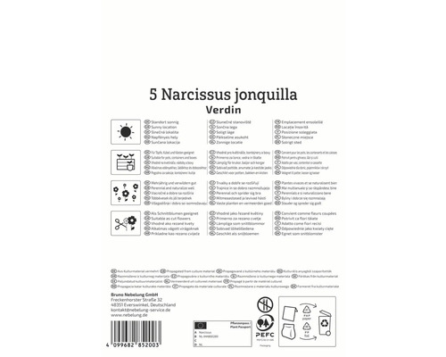 Ambalaj Narcissus jonquilla Verdin cu simboluri și sigilii