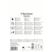 Ambalaj pentru 5 Narcissus Replete cu informații despre locație, utilizare și propagare