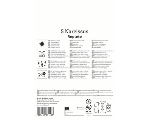 Ambalaj pentru 5 Narcissus Replete cu informații despre locație, utilizare și propagare