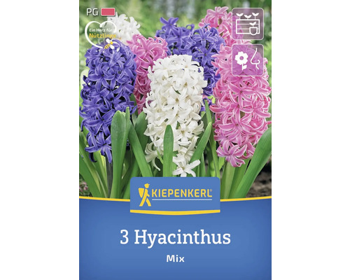 Pachet cu 3 zambile mix de la Kiepenkerl