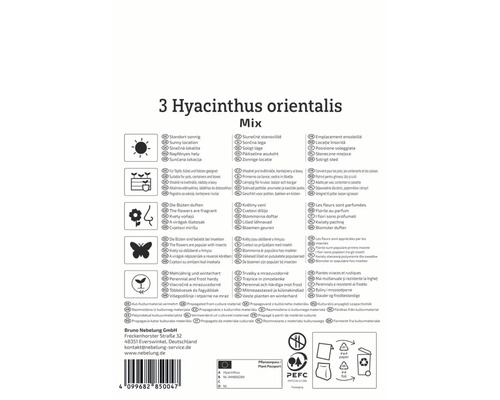 Informații despre Hyacinthus orientalis Mix