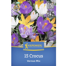 Crocus Vernus Mix, 15 bucăți