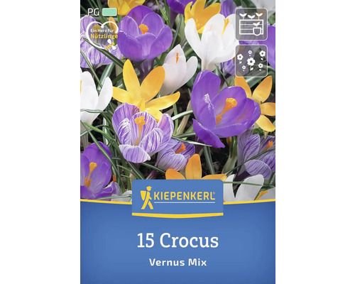 Crocus Vernus Mix, 15 bucăți