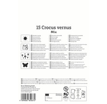 Informații despre amestecul de crocus, locație, potrivire pentru ghivece, creștere perenă, popularitate printre insecte și propagare din material de cultură