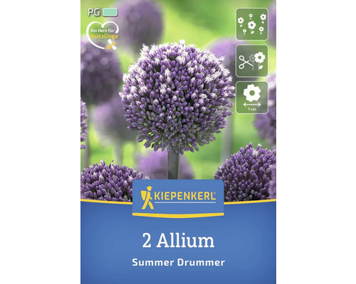 Pachet cu doi bulbi de ceapă decorativă de soiul Summer Drummer