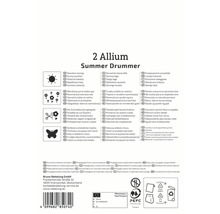 Informații despre Allium Summer Drummer, inclusiv locație, perioada de înflorire și utilizare