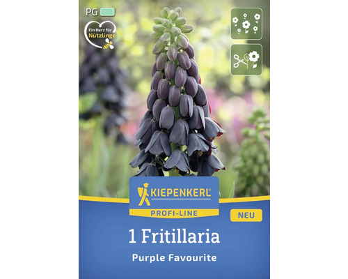 Ambalaj bulb Fritillaria ''Purple Favourite'' marca Kiepenkerl