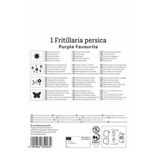 Informații despre Fritillaria persica Purple Favourite