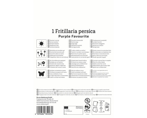 Informații despre Fritillaria persica Purple Favourite