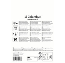 Ambalaj Galanthus Woronowii cu informații despre produs referitoare la locație, îngrijire și utilizare