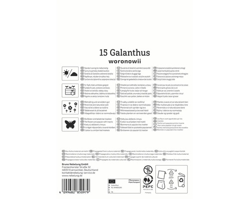 Ambalaj Galanthus Woronowii cu informații despre produs referitoare la locație, îngrijire și utilizare