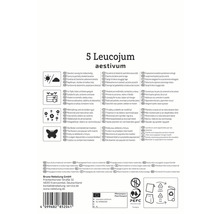 Ambalaj pentru cinci bulbi de Leucojum aestivum