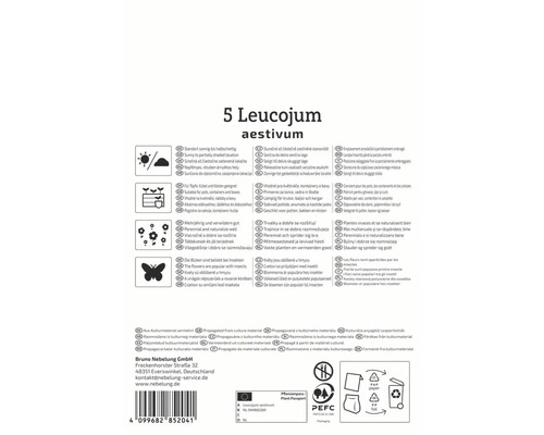 Ambalaj pentru cinci bulbi de Leucojum aestivum
