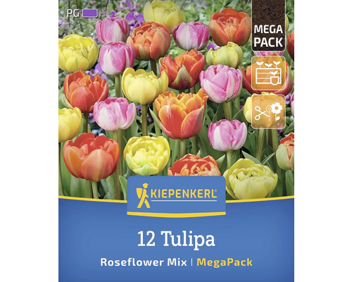 Logo Kiepenkerl, 12 lalele mix de flori de trandafir în ambalaj mega