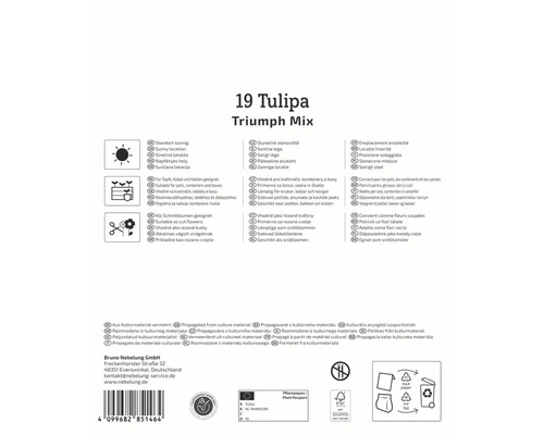Informații 19 Tulipa Triumph Mix