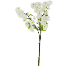 Ramură decorativă de cireș cu flori albe și frunze verzi