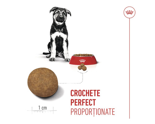 Ilustrație cu hrană pentru căței Royal Canin cu un câine și un castron pentru hrană