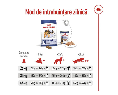 Ghid de hrănire Royal Canin Maxi Adult pentru câini