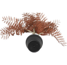 Plantă artificială ferigă în ghiveci, vedere de sus