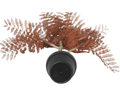 Plantă artificială ferigă în ghiveci, vedere de sus