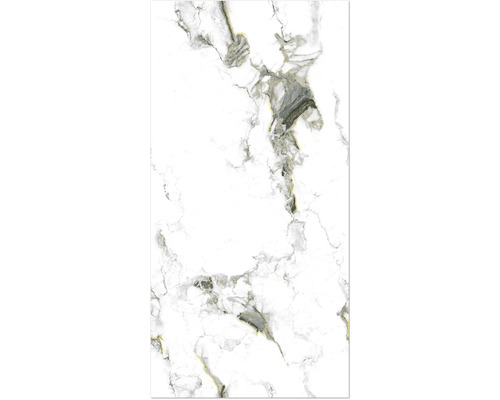 Gresie exterior / interior porțelanată glazurată rectificată Gold Carvin 60x120 cm