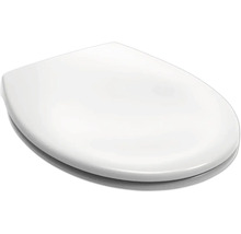 Capac de toaletă din plastic