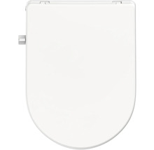 Capac WC din ceramică sanitară