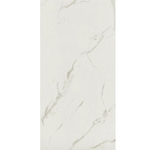 Model de faianță cu structură de marmură