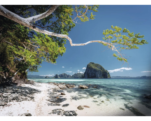 Peisaj cu plajă tropicală, stânci și cer albastru