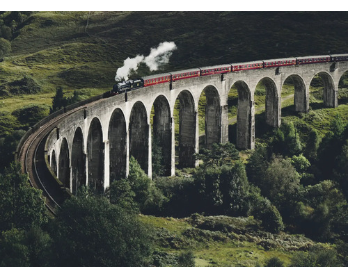 Un tren traversează viaductul Glenfinnan, un pod de cale ferată în Scoția.
