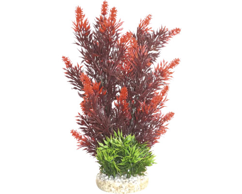 Plantă decorativă pentru acvariu cu frunze roșii și bază verde