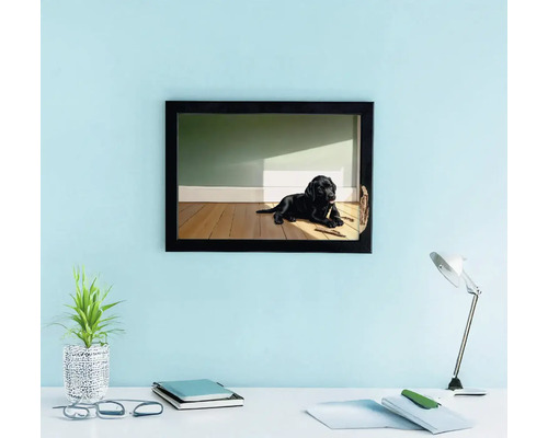 Tablou cu labrador negru în ramă neagră