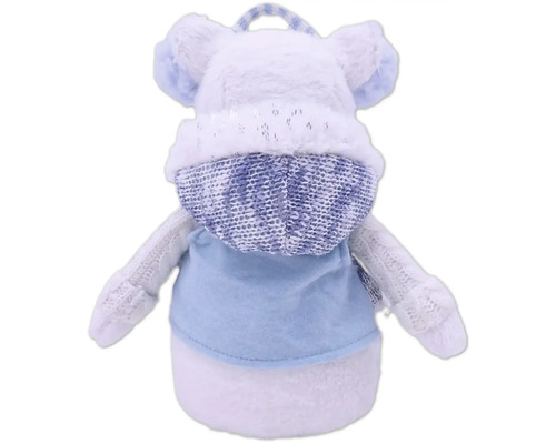 Vedere din spate a unui ursuleț de pluș cu glugă ca husă de sticlă